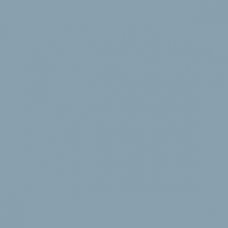 PANTONE5425